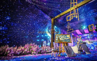 創(chuàng)藝無憂 打造海南婚慶與會議展覽的一站式專業(yè)服務平臺